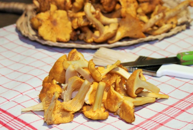 IMG_4363 (2)