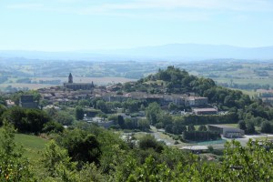 IMG_7233