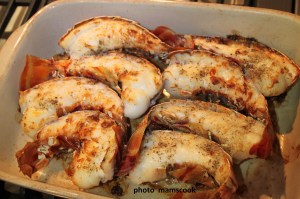 img_8252-2