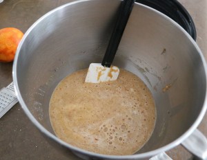 IMG_5221