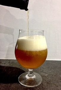 IMG_3565