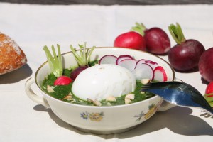 IMG_8479