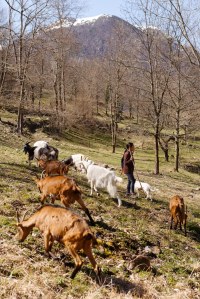 Credit Marc MESPLIE- PNR Pyrenees Ariegeoises -3-