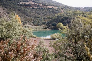 IMG_9397