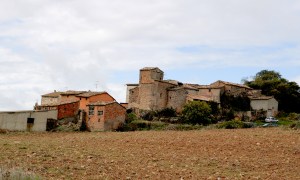 IMG_9421