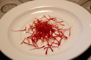 IMG_9434